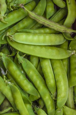 Yeşil bezelye, üstten görünüm. Bezelye hasat. Arka plan, doku