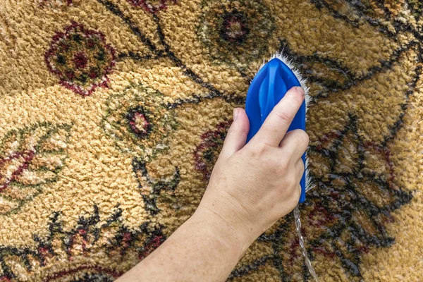 Cleaning Carpet Close Women Hand Brushing Carpet Copy Space — Stock Photo, Image