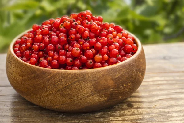 Red Currant Wooden Plate Table Garden Copy Space — Stock Photo, Image