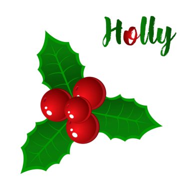 çizilmiş holly, çobanpüskülü şube berry ve yaprakları, ökse otu ver. Noel, yeni yıl tatil kutlama sembolü