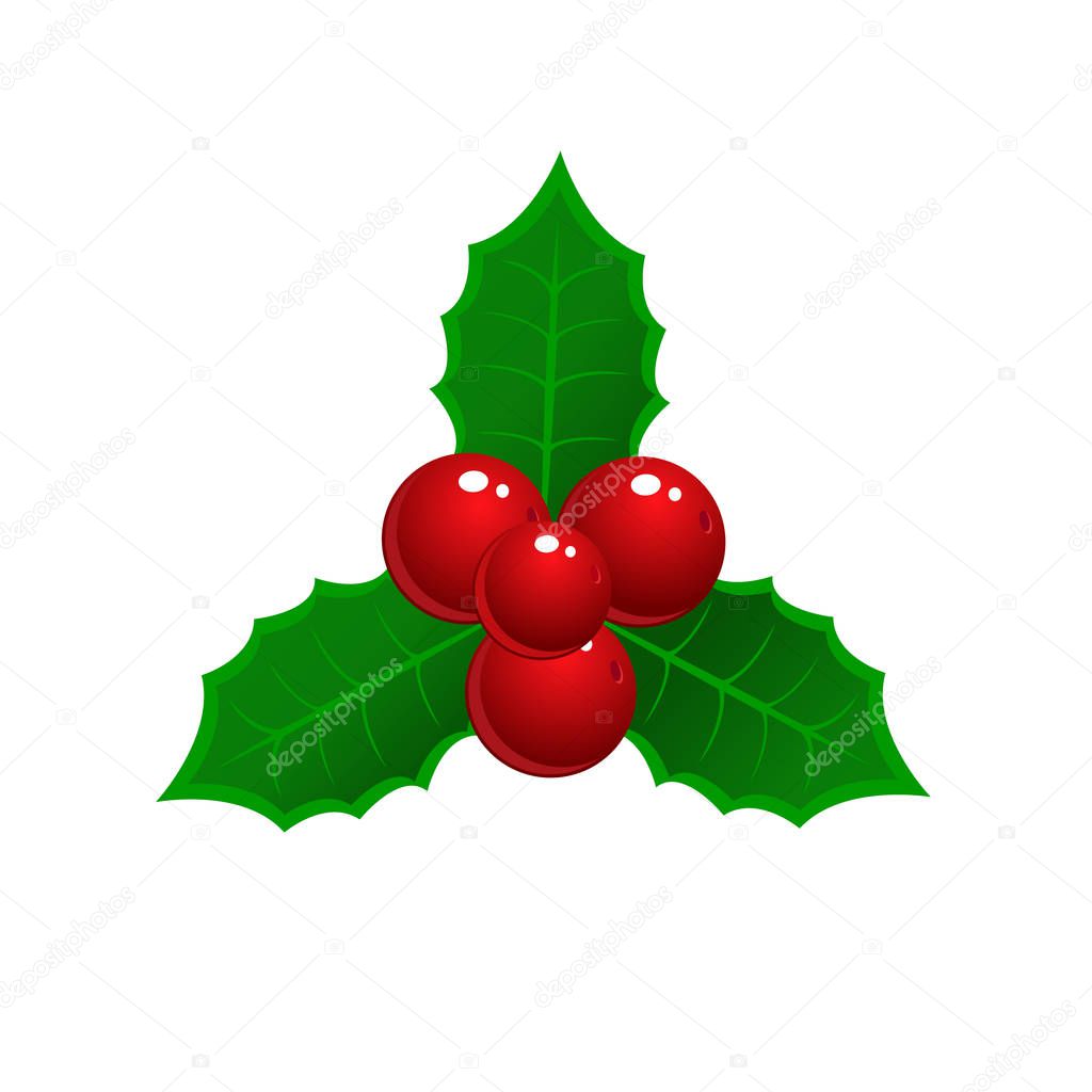vector realistic hand drawn holly, ilex branch with berry and leaves, mistletoe. Christmas, new year holiday celebration symbol. Isolated illustration on a white background