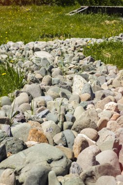 yeşil çayır üzerinde farklı cins bir deniz çakıl taşı kaldırım yol