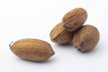 Pekan somun beyaz arka plan üzerinde. Yakın çekim. Kopya alanı  