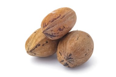 Pekan somun beyaz arka plan üzerinde. Yakın çekim. Kopya alanı  