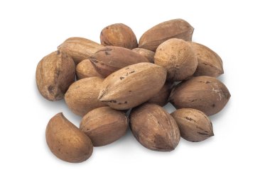 Pekan somun beyaz arka plan üzerinde. Yakın çekim. Kopya alanı  