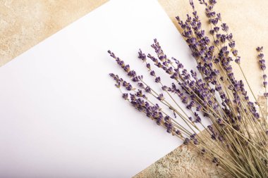 Kadar boş levha ve dalları lavanta tablo sahte. Tasarım için bir yer. Yukarıdan görüntülemek