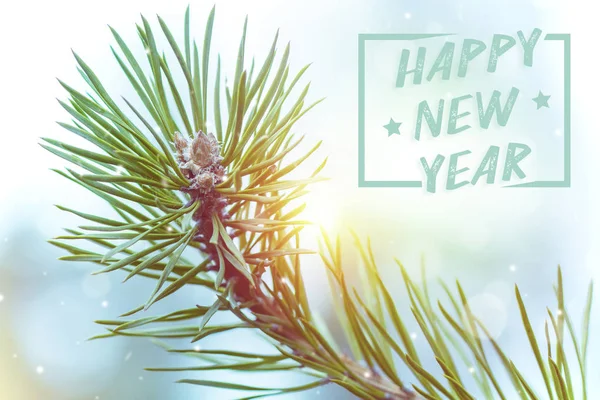 Çam Ağacı Dalı Happy New Year Kelimelerle Noel Arka Plan — Stok fotoğraf