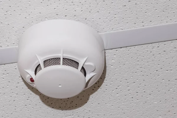 fire detectors on the ceiling of the dwelling. Copy space