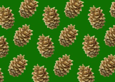 Ladin konileri renkli desen. Yeşil arka plan