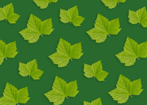 Foglie Verdi Sfondo Verde Sfondo Astratto — Foto Stock