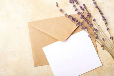 Kraft zarf ve hafif bir arka plan üzerinde lavanta çiçekleri ile boş kağıt. İmzalarınız için kartpostal temizleyin. Kopyalama alanı