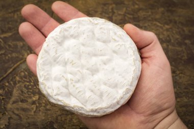 El peyniri üreticisi beyaz kalıp ile Camembert peyniri. Şarap için atıştırmalık. Koyu arka plan
