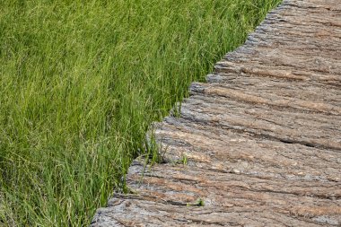 kopya alanı ile uzun ot ile ahşap parçası yol. Arka Plan Dokusu