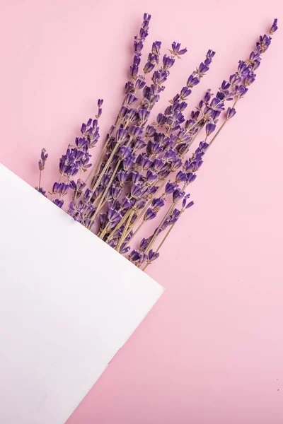 lavender flowers in a clean notebook on a pink background. mock up for your design. Copy space