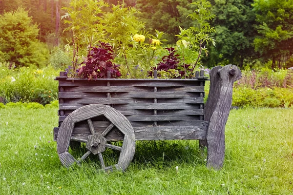 Carrinho Decorativo Feito Madeira Para Flores Jardim Verão Dia Ensolarado — Fotografia de Stock