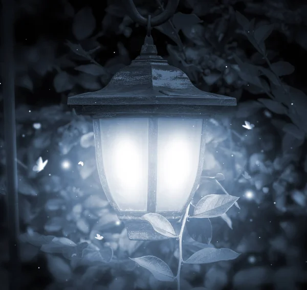 old lantern hanging in the dense forest. Fireflies and beetles fly to the light. Toning