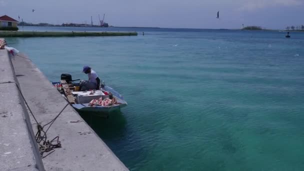 Homem Está Vendendo Conchas Mar Seu Barco Pesca Nassau Bahamas — Vídeo de Stock