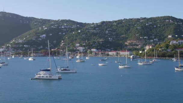 Veleros Amarrados Puerto Santo Tomás — Vídeo de stock