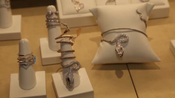 Rings Bracelets Shape Snake Glass Case Store — Stock Video