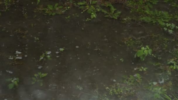 Regen Fällt Eine Pfütze Und Fällt Auf Das Fenster — Stockvideo