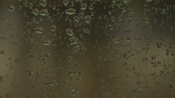 Rain Drops Window Storm — Stock Video