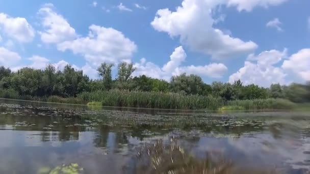 Grüne Natur Rund Und Fluss — Stockvideo