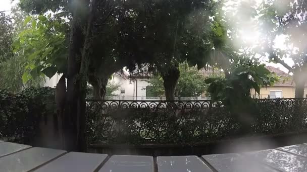 Oglądanie Deszczowy Dzień Przez Okno — Wideo stockowe