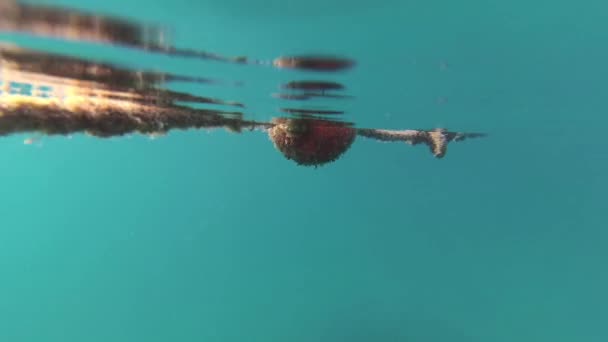 Rote Boje Auf Dem Wassersplit Kroatien — Stockvideo