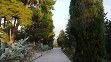  Marjan Hill park orman Böl. Hırvatistan 24 Ekim 2017