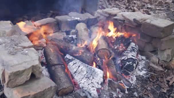 Poking Burning Fire — Stock Video