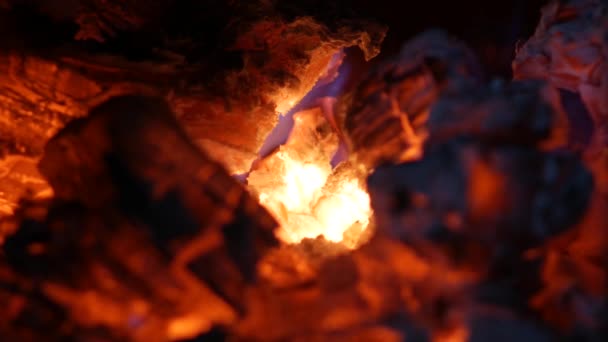 4在1接近的看法在发光的木炭和火焰 — 图库视频影像