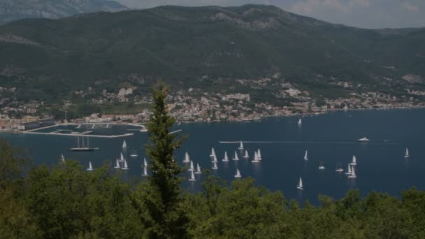 Żaglówki Horyzoncie Zatoka Kotor Adriatyku Czarnogórskim Wybrzeżu — Wideo stockowe
