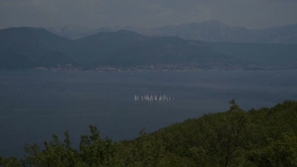 Segelbåtar Vid Horisonten Bay Kotor Adriatiska Havet Montenegros Kust — Stockvideo