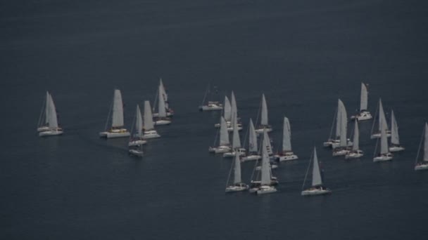 地平线上的帆船 Kotor 亚得里亚海黑山海岸的海湾 — 图库视频影像