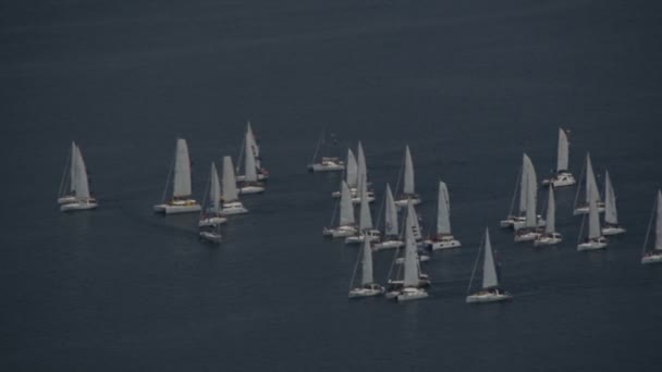 Segelbåtar Vid Horisonten Bay Kotor Adriatiska Havet Montenegros Kust — Stockvideo