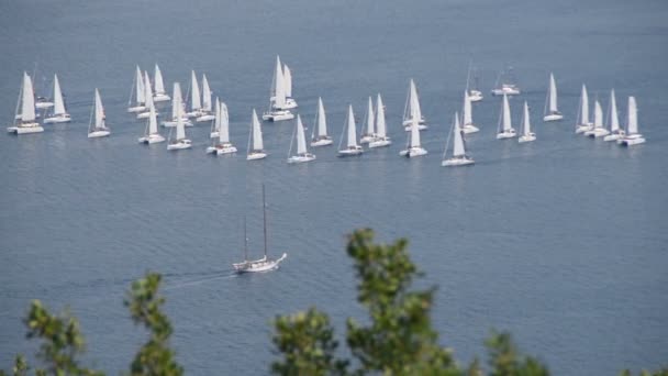 2在1一艘帆船在地平线 Kotor 亚得里亚海海黑山海岸 — 图库视频影像
