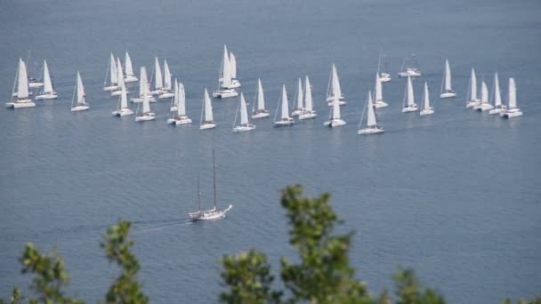 Voilier Horizon Baie Kotor Mer Adriatique Côte Monténégrine — Video