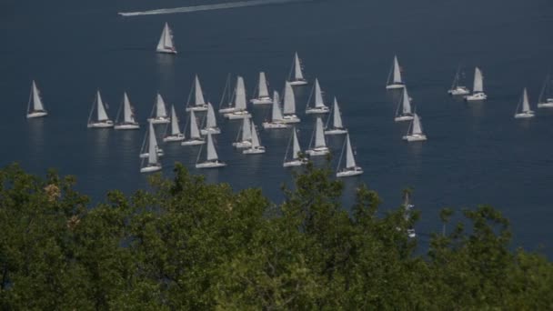 Veleiros Horizonte Baía Kotor Adriático Mar Montenegrin Costa — Vídeo de Stock