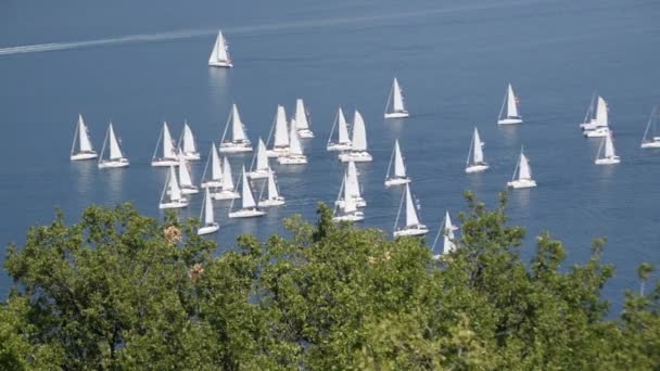 Veleiros Horizonte Baía Kotor Adriático Mar Montenegrin Costa — Vídeo de Stock