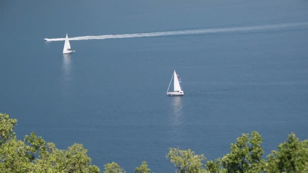 地平线上的帆船 Kotor 亚得里亚海黑山海岸的海湾 — 图库视频影像