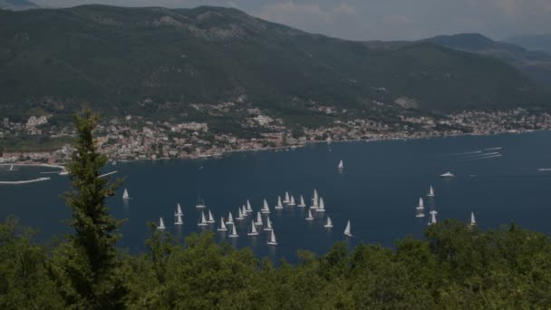 Segelbåtar Vid Horisonten Bay Kotor Adriatiska Havet Montenegros Kust — Stockvideo