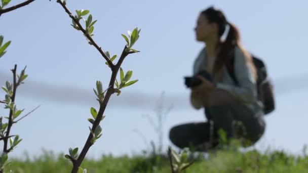 女の子は 自然を撮影 — ストック動画