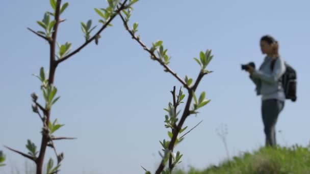 Menina Fotografar Natureza — Vídeo de Stock