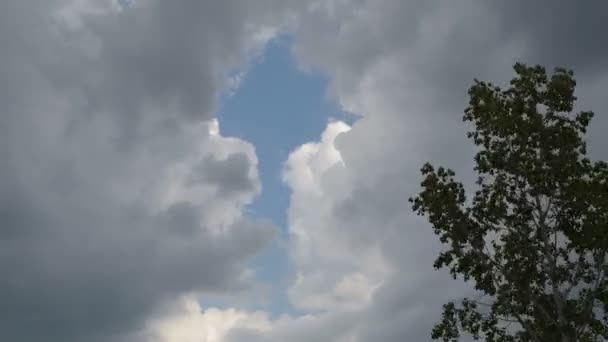 Nubes Cubren Cielo Azul — Vídeos de Stock