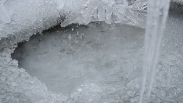 Eis Und Eiszapfen Schmelzen Winter — Stockvideo