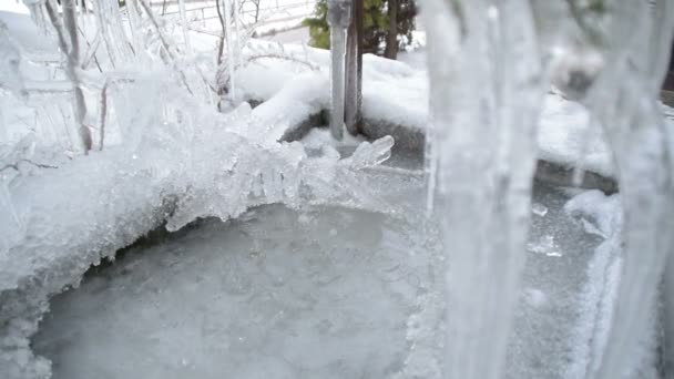 Buz Buz Sarkıtları Kışın Erime — Stok video