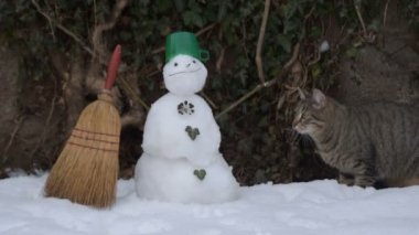 tekir kedi ve bir kardan adam bir soğuk kış gününde