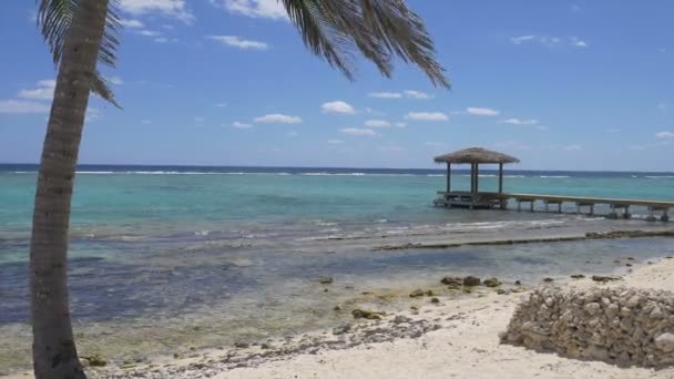 Skönheten Caymanöarna — Stockvideo