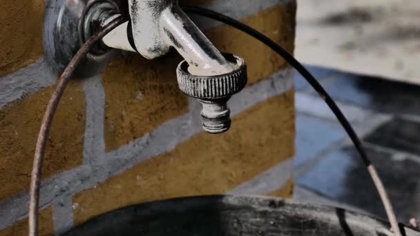 Der Eimer Wird Mit Wasser Aus Dem Brunnen Gefüllt — Stockvideo