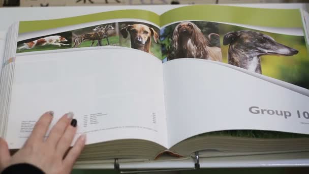 一个女人的手翻了一本书关于狗 狗品种信息 — 图库视频影像
